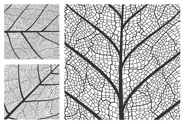 Vector blad textuur patroon achtergrond plantencellen aders