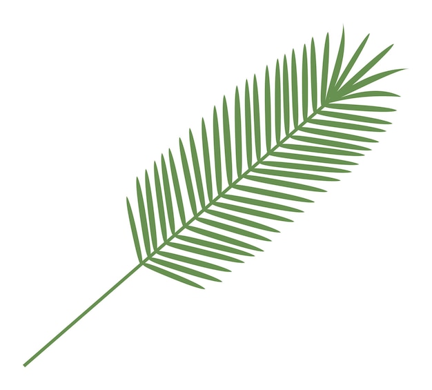 Vector blad van tropische plant. geïsoleerd op een witte achtergrond. vector illustratie.