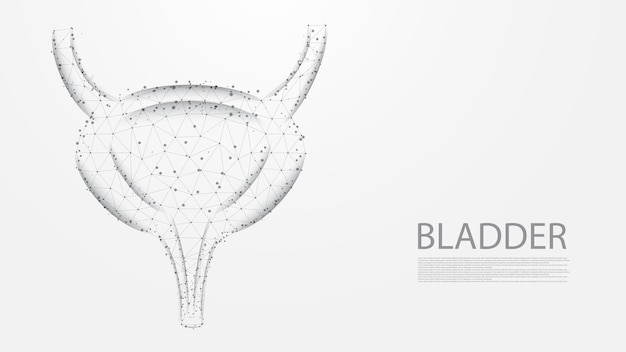 인체 해부학 구조 라인 연결의 방광 낮은 폴리 와이어 프레임 디자인 추상적 인 기하학적 바