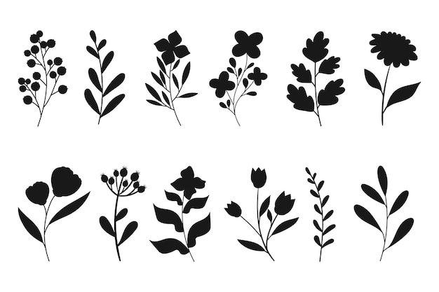Vector bladeren bloemen en takken silhouetten zetten wilde planten en tuin bloemen silhouetten op wit
