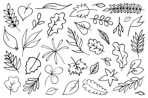 Bladeren clipart vector doodle set