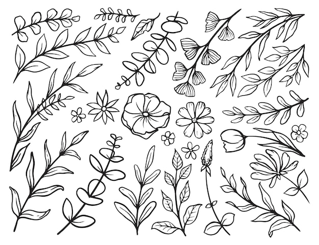Vector bladeren doodle bladeren handgetekende collectie