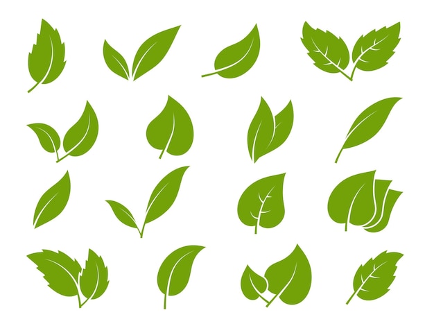Vector bladeren pictogrammen. jonge groene bladeren bomen en planten verschillende vormen van elegantie, kruidenthee blad eco, bio organische gebladerte landschapsarchitectuur milieu vector silhouet set