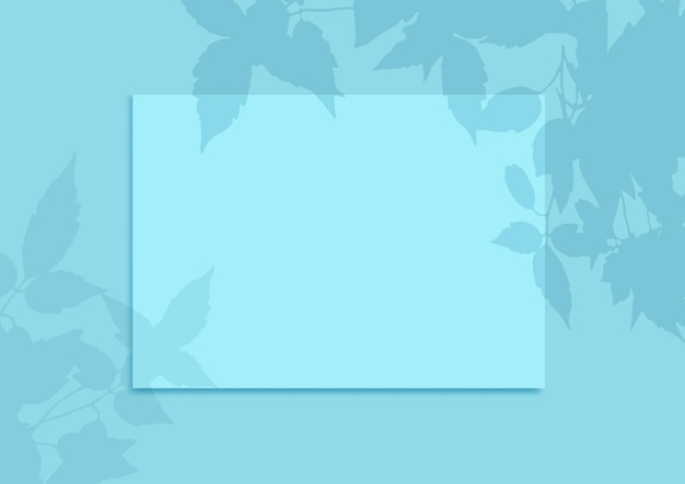 Vector blank display background with a plant shadow overlay