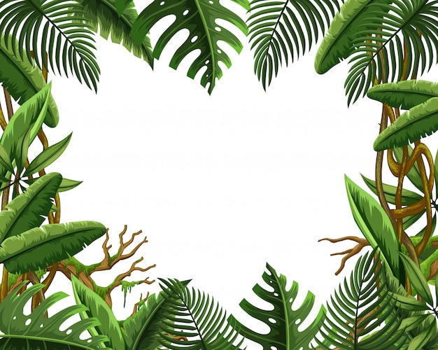 Vector blank jungle leave frame