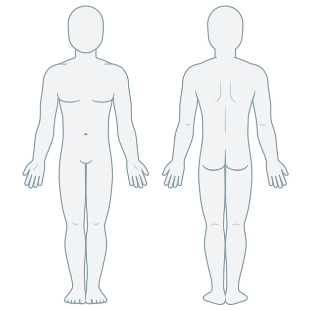 空白の男の体のテンプレートの正面図と背面図