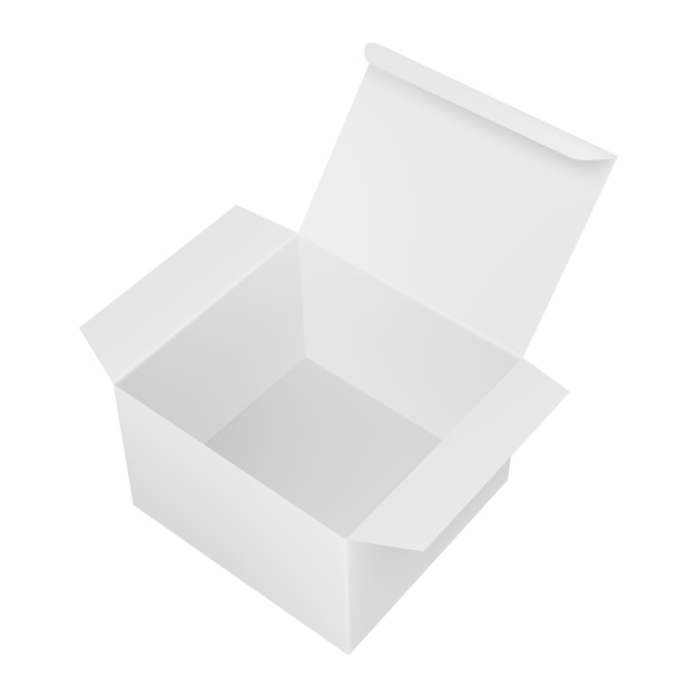 Blank open rectangular paper box.