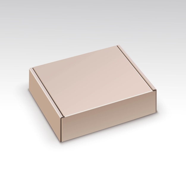 Blank Packaging Package Pack Box Isolated 