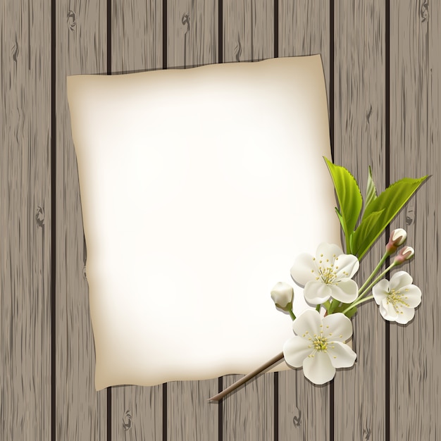 Blank paper with blossoming cherry branch