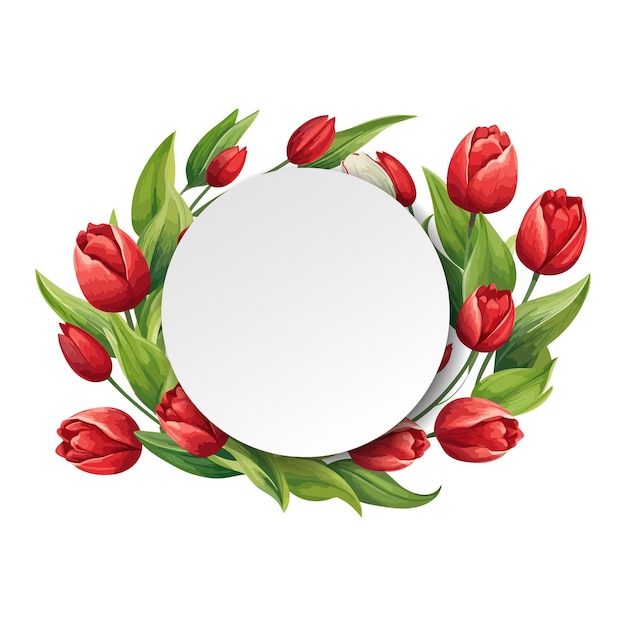 Белый круглый цветок тюльпана Вектор рамы Фон