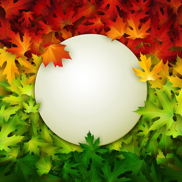 Vector blank rounded frame on colorful realistic autumn leaves background