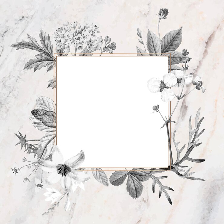 Vector blank square floral frame design vector