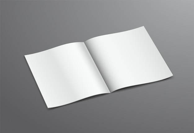 Vector blank white open brochure magazine