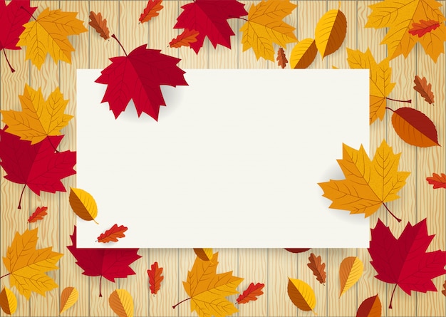 Blank white paper space frame decorated with falling leaf