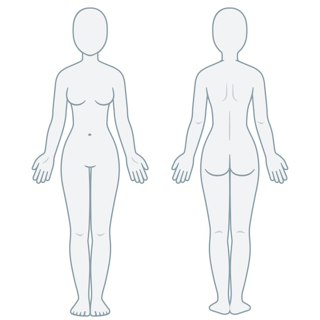 空白の女性の体のテンプレートの正面図と背面図