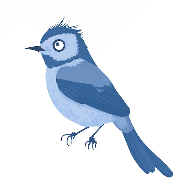 Blauw grijze muggenvanger platte pictogram vector illustratie