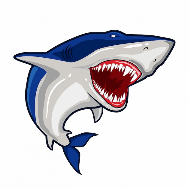 Blauwe haai vector