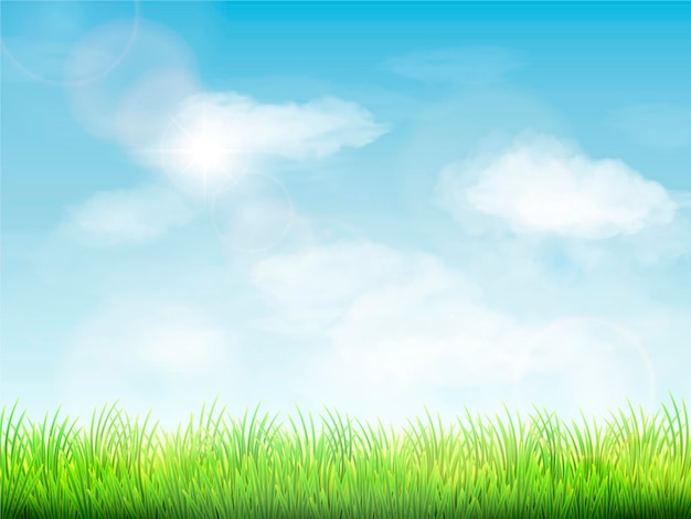 blauwe lucht en een veld van groen gras
