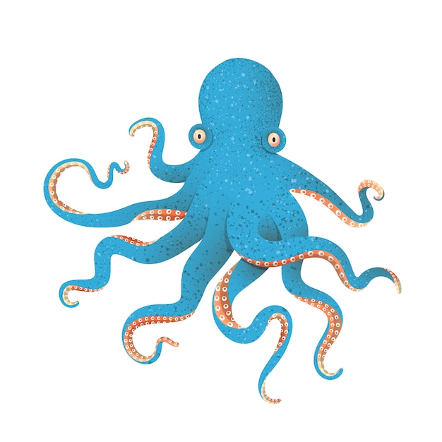 Blauwe octopus