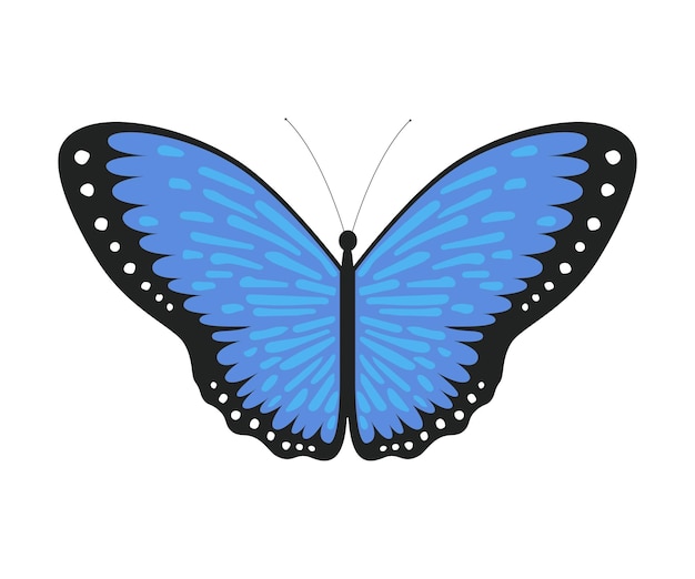 Blauwe tropische vlinder mooie kleurrijke vliegende insect voor decoratieve element vector illustratie