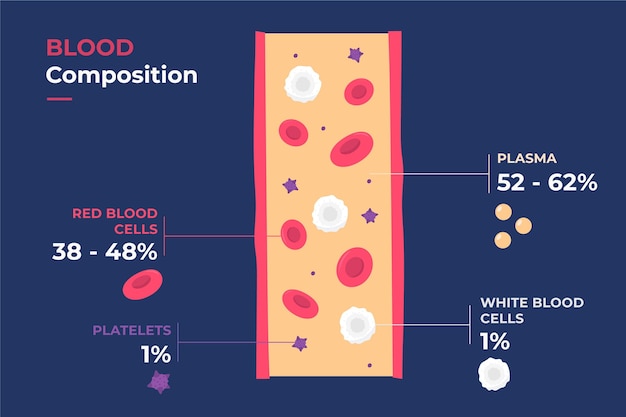 Vector bloed infographic concept in plat ontwerp