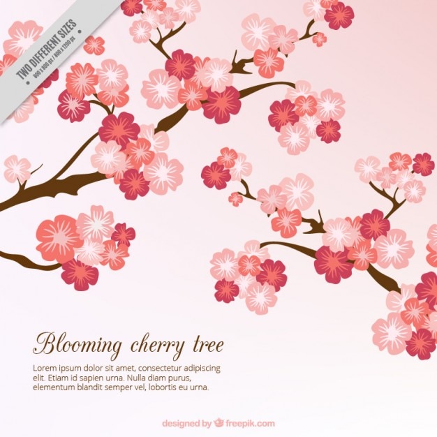 Vector bloeiende cherry tree achtergrond