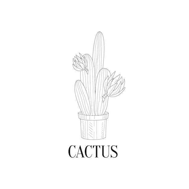 Bloeiende hoge Cactus In Pot Hand getekende realistische schets