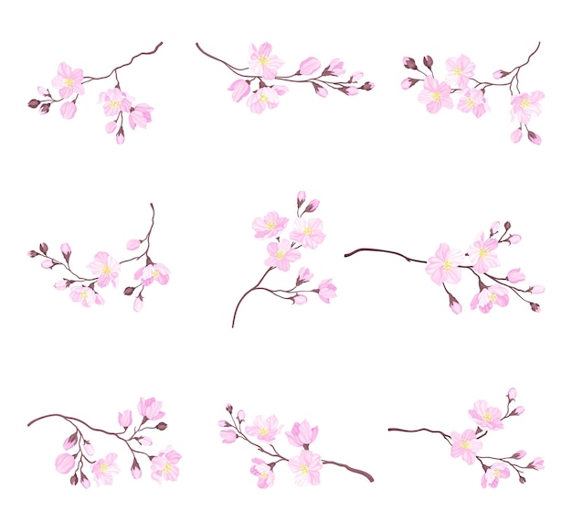 Bloeiende kersen takken met tedere roze bloemen Vector Set