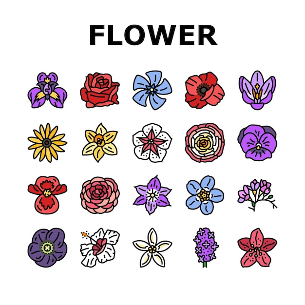 Bloem bloesem lente iconen set vector