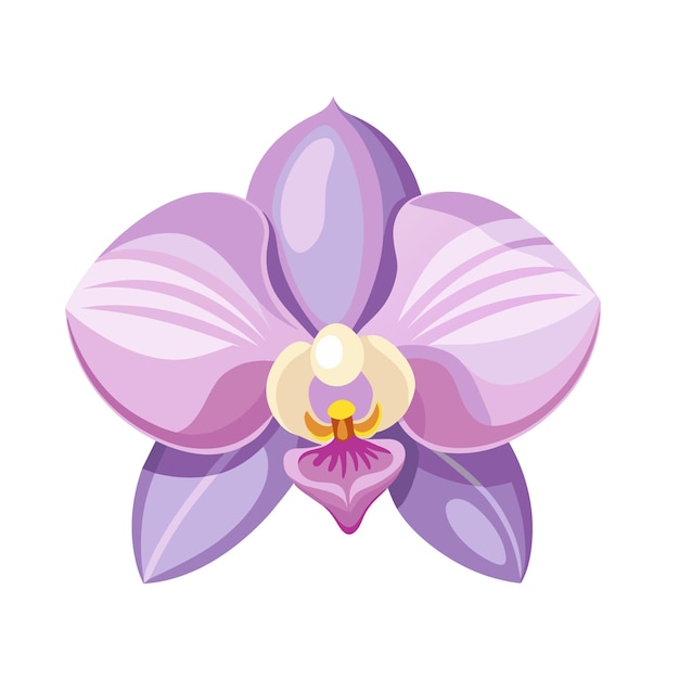 bloem exotische pastel violette orchidee