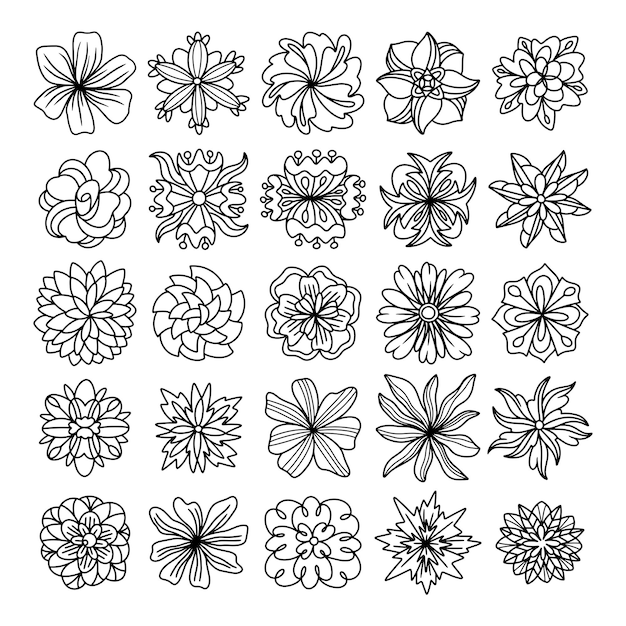 Bloem hand getekende vector set