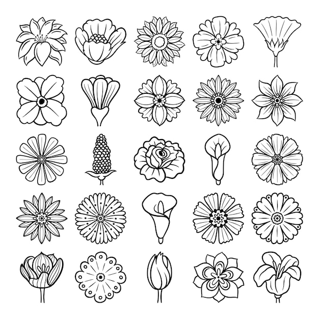 Bloem hand getekende vector set