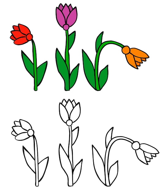 Vector bloem kleurboek