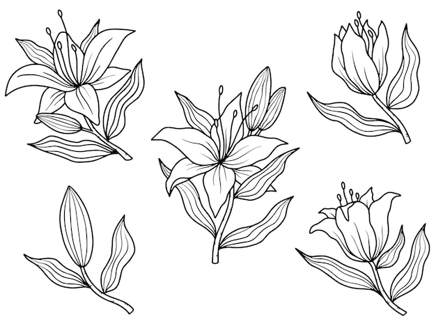 Bloem lijntekeningen arrangement