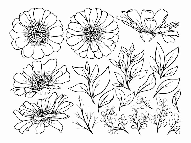 Bloem lijntekeningen arrangement