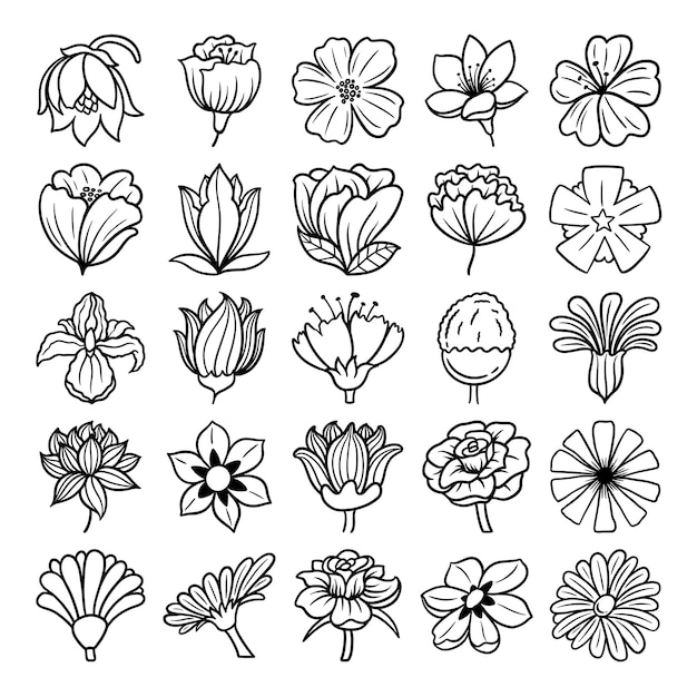 bloem met de hand getekende vector set