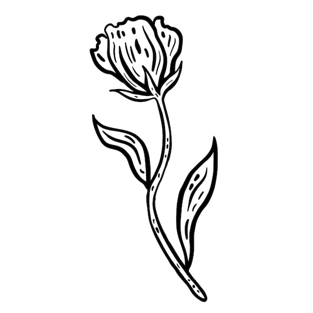 Bloem met stengel en bladeren Hand getekende vectorillustratie Monochrome zwarte inkt schets