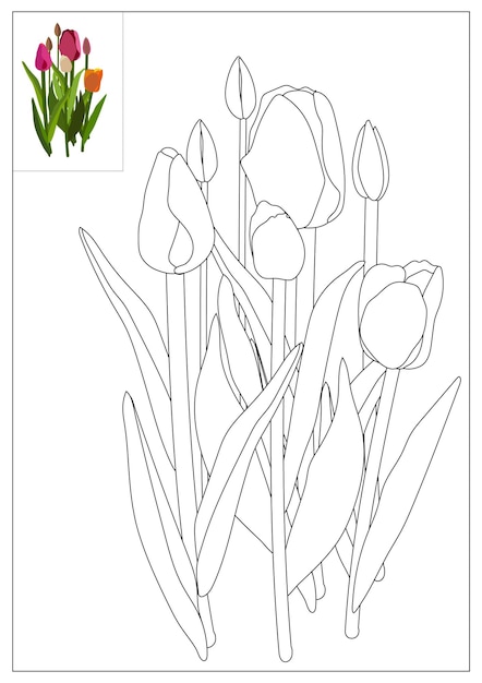 Vector bloem overzicht kleurplaat