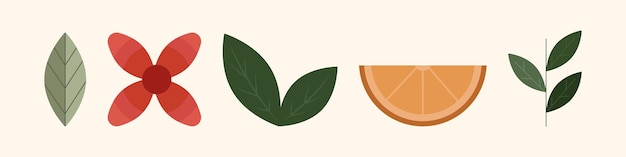 bloem, takje, fruit. Oranje met groen. Vectorillustratie in een vlakke stijl.