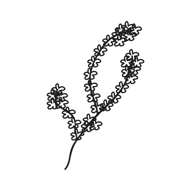 Vector bloem vector zwart-wit silhouet schets ontwerp