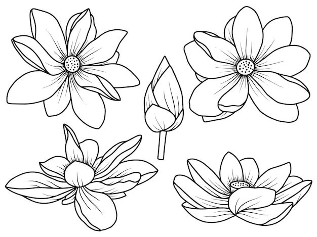 Vector bloemen arrangement met handgetekende lijntekeningen