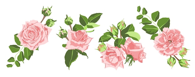 Bloemen boeketten met elegante rozen voor wenskaarten