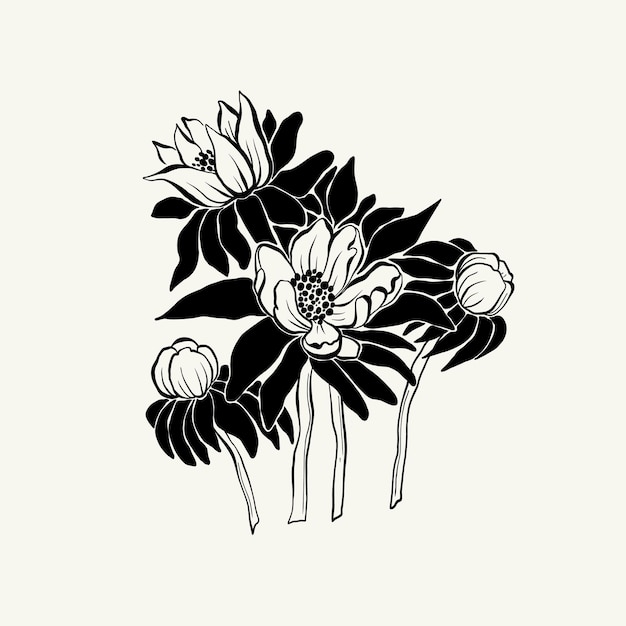 Bloemen, Botanica-illustratie. Zwarte inkt, lijn, krabbelstijl.