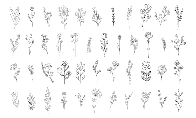 Bloemen, botanische en bladeren schetsen vector collectie.