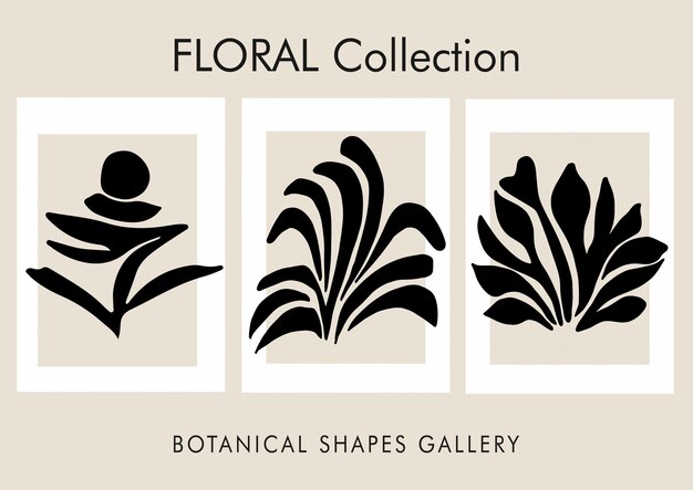 Bloemen Collectie Botanische Kunst Bladeren Bloemen Art Matisse Stijl