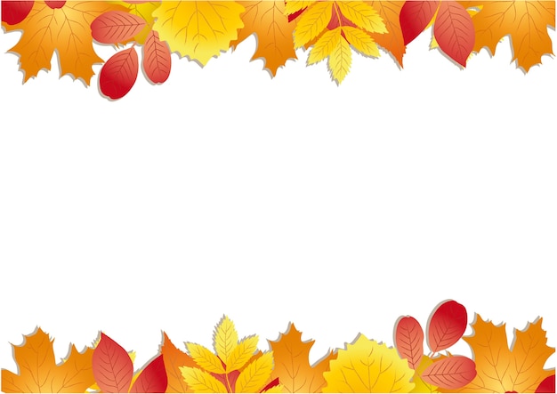 BLOEMEN DE HERFSTFRAME