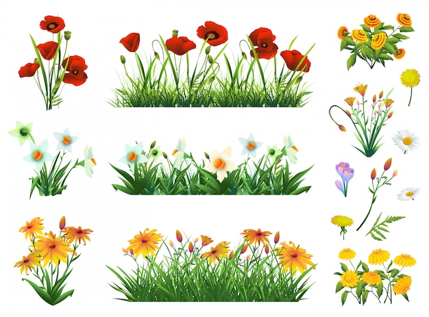 Bloemen en gras set van vector-elementen. Natuur en ecologie