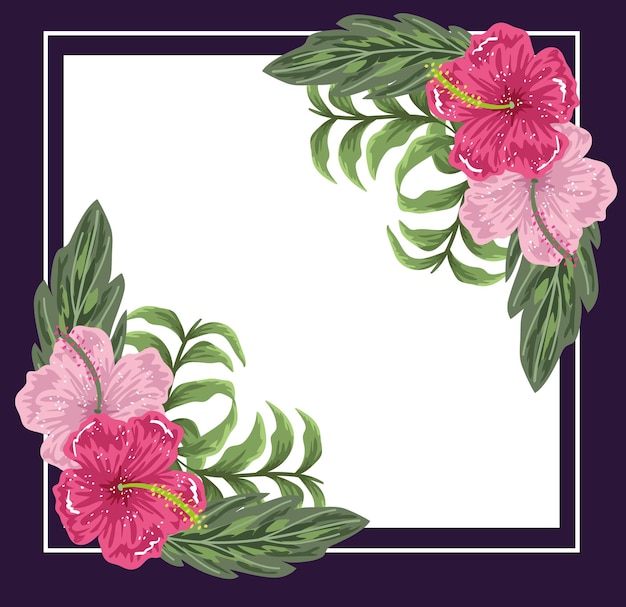 Bloemen hibiscus bloemen bladeren natuur paars frame, illustratie, schilderkunst