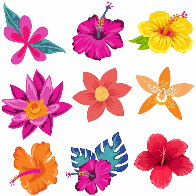 Vector bloemen illustratie voor decoratie