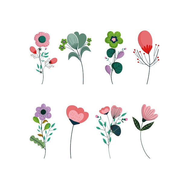 Bloemen illustraties ingesteld op transparante achtergrond